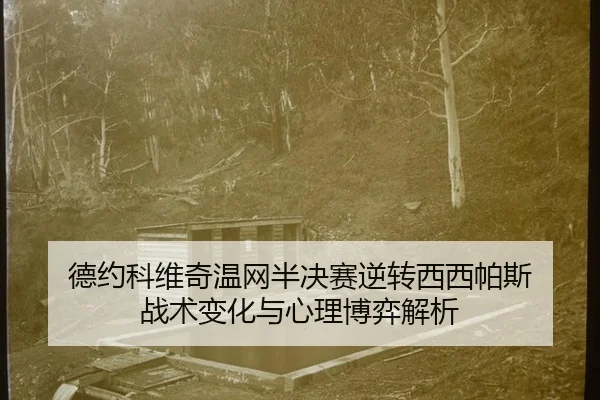 de-yue-ke-wei-qi-wen-wang-ban-jue-sai-ni-zhuan-xi-xi-pa-si-zhan-shu-bian-hua-yu-xin-li-bo-yi-jie-xi-3-130.jpg